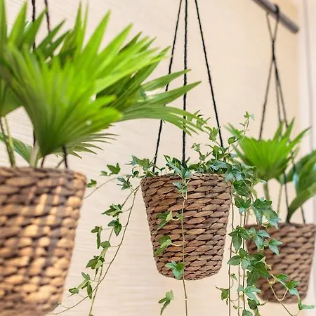 Ξενοδοχείο Dwars 3*