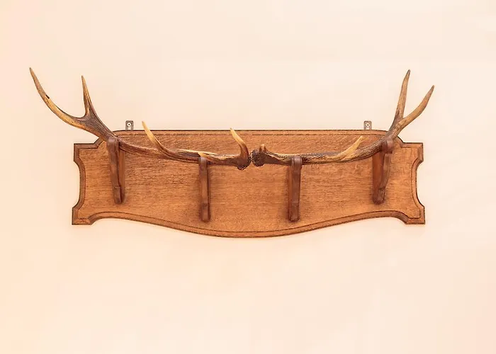 فندق دوارس 3*